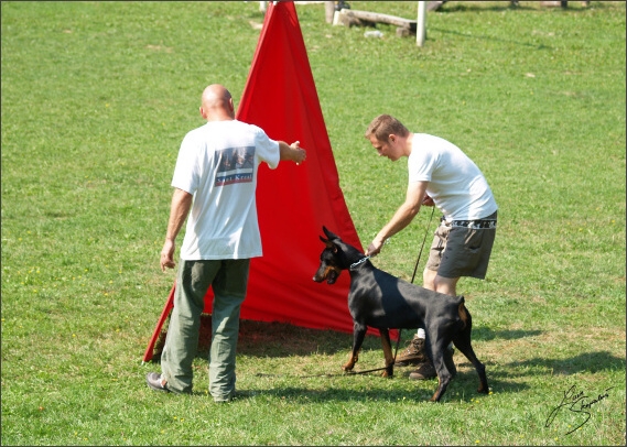 Summer training camp - Jelenec - 2007